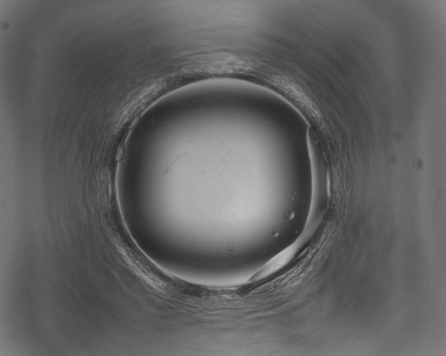 X0000078240397200611031115