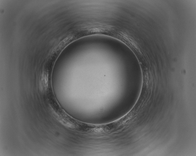 X0000078240406200611031115