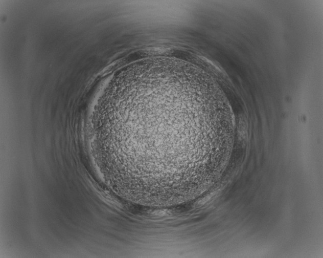 X0000078240409200611031115