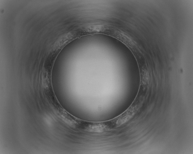 X0000078240414200611031115