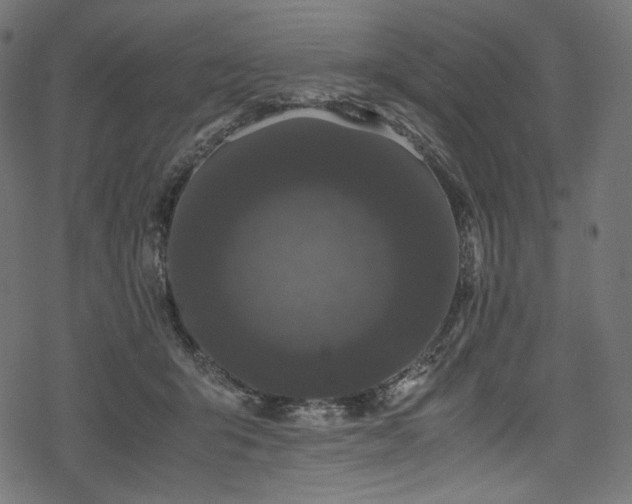 X0000078240415200611031115