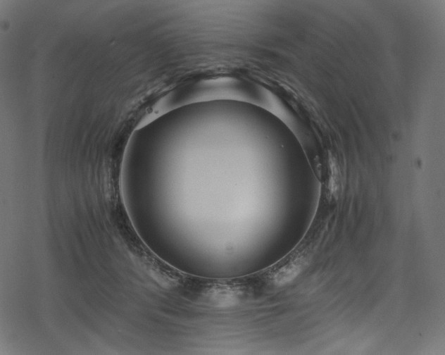 X0000078240416200611031115