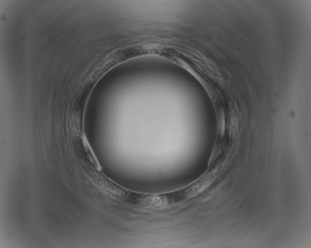 X0000078240421200611031115