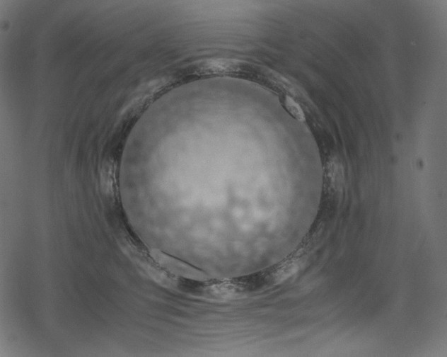 X0000078240423200611031115