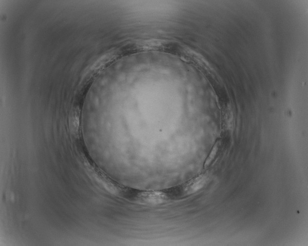 X0000078240427200611031114