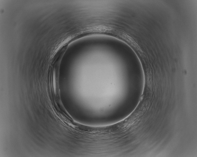 X0000078240434200611031114