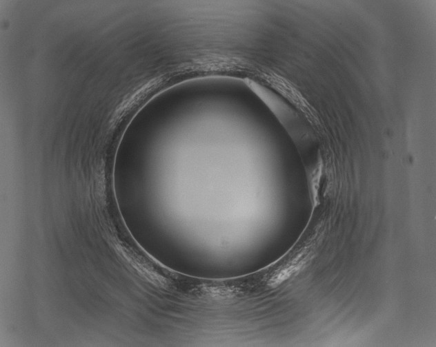 X0000078240442200611031114
