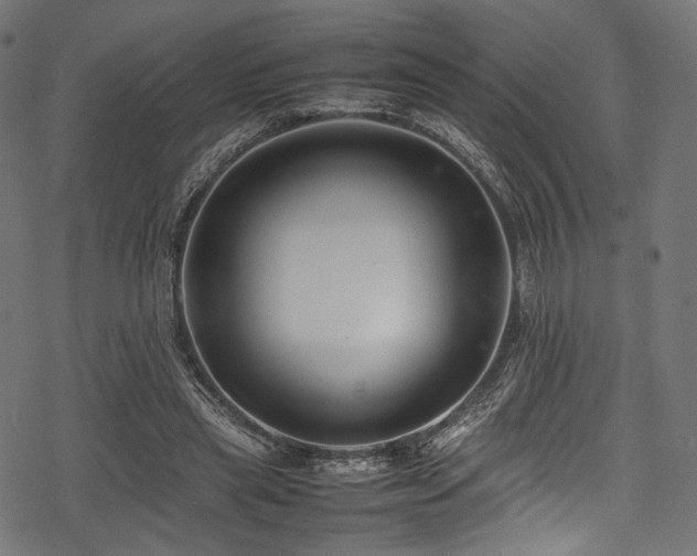 X0000078240445200611031114