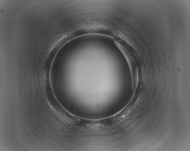 X0000078240448200611031114
