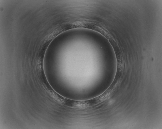 X0000078240466200611031114