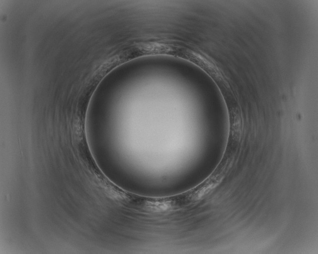 X0000078240469200611031114