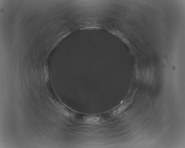 X0000078240471200611031114