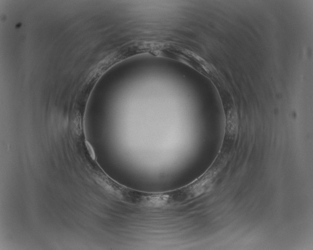 X0000078240474200611031114