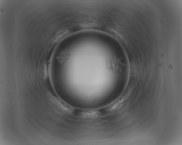 X0000078240479200611031114