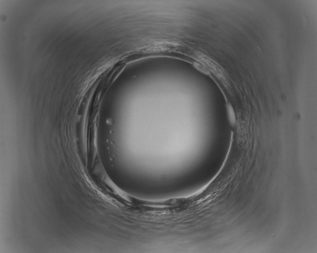 X0000078240485200611031113