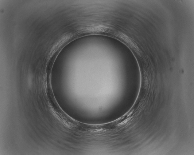X0000078240486200611031113