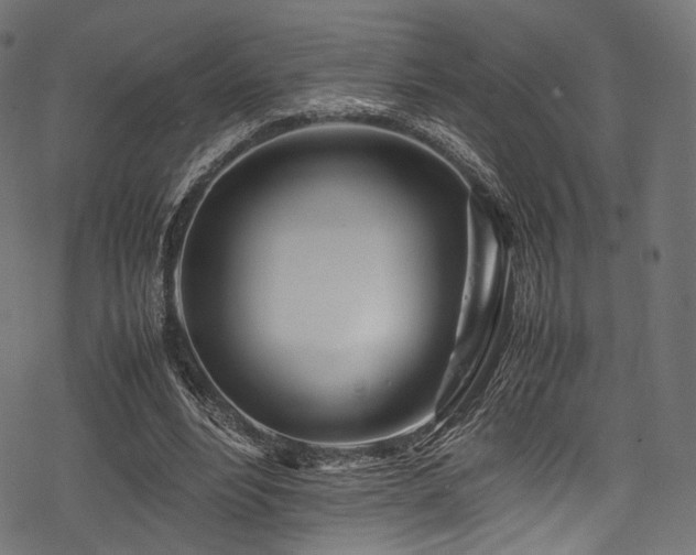 X0000078240488200611031113