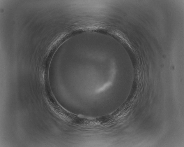 X0000078240491200611031113
