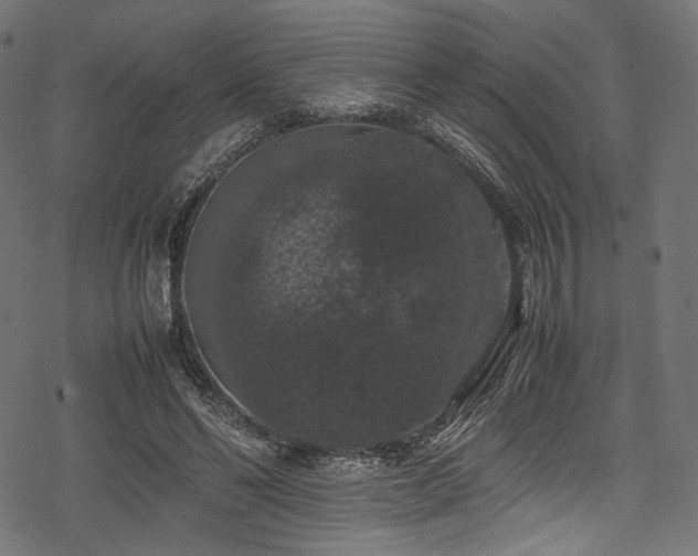 X0000078240494200611031113