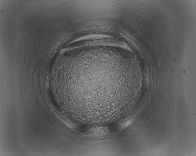 X0000078240499200611031113