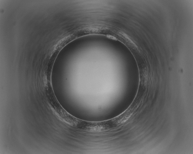 X0000078240500200611031113