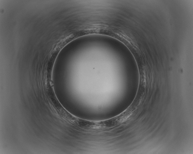 X0000078240504200611031113