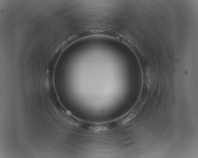 X0000078240512200611031113