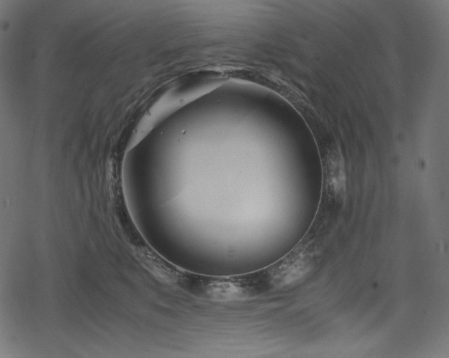 X0000078240519200611031113