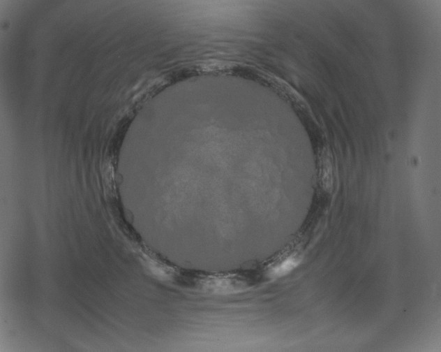 X0000078240523200611031113