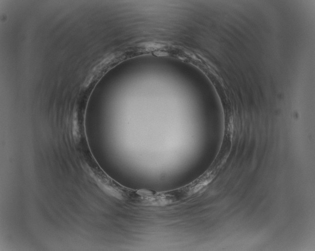 X0000078240524200611031113