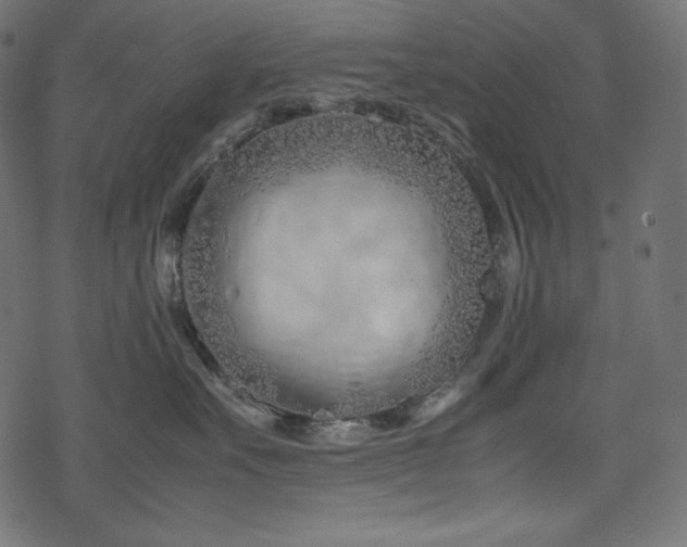 X0000078240527200611031113