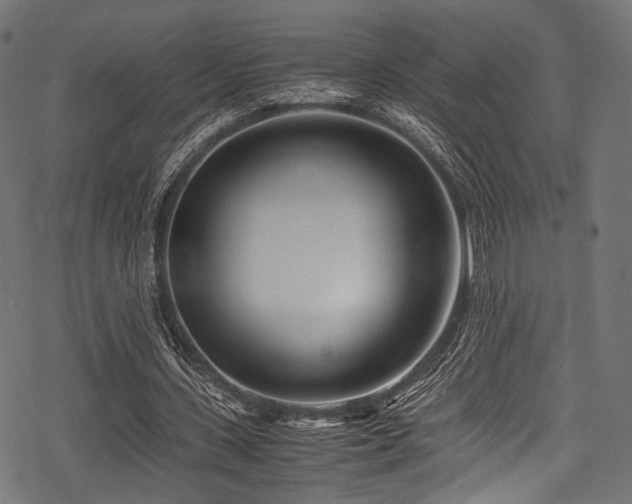 X0000078240531200611031112