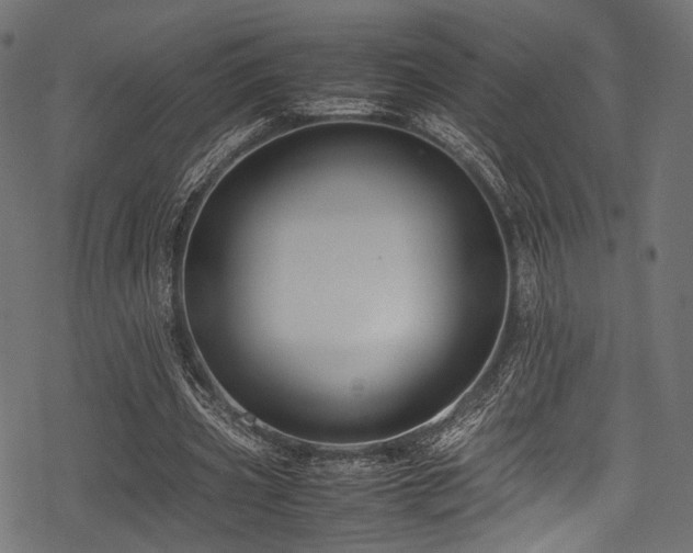 X0000078240533200611031112
