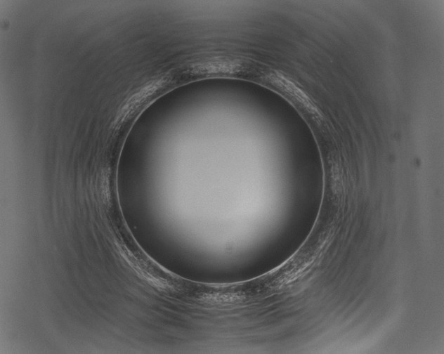 X0000078240537200611031112