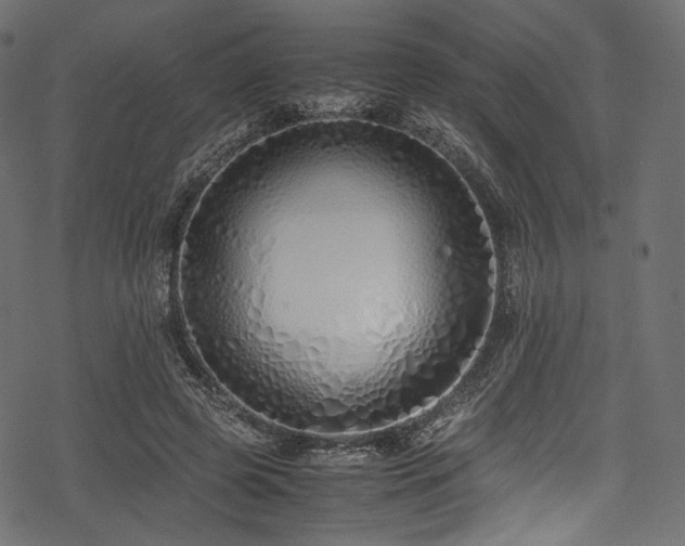 X0000078240545200611031112