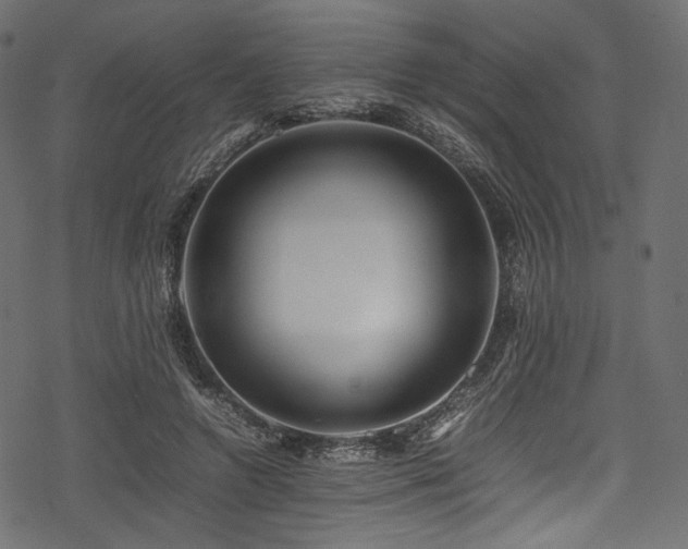 X0000078240546200611031112