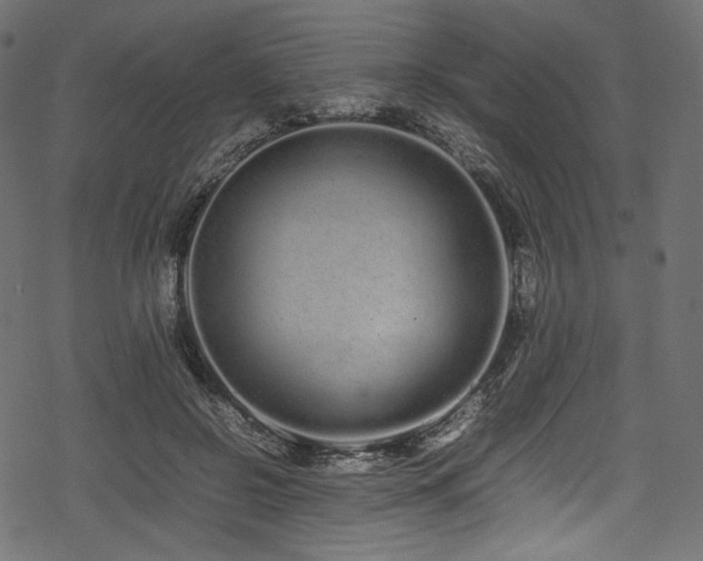 X0000078240550200611031112