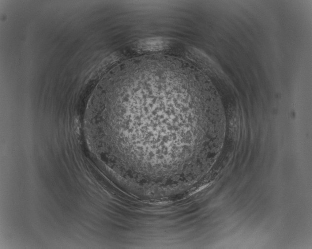 X0000078240555200611031112