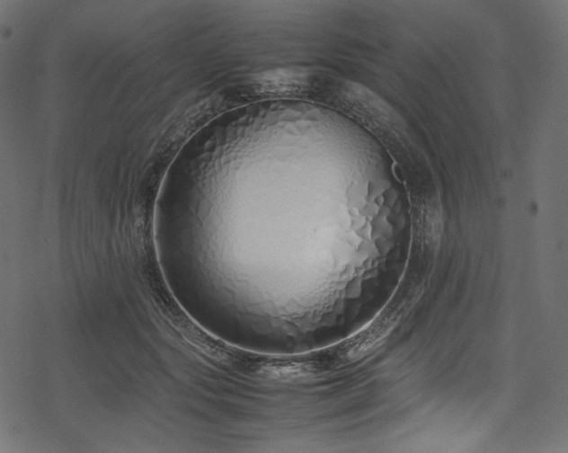 X0000078240557200611031112