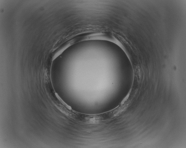 X0000078240564200611031113