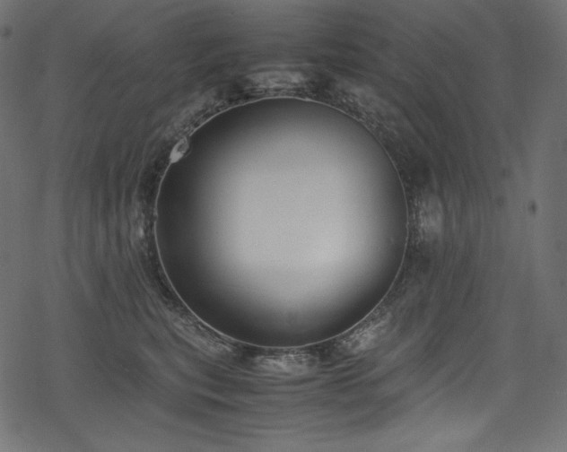 X0000078240567200611031113