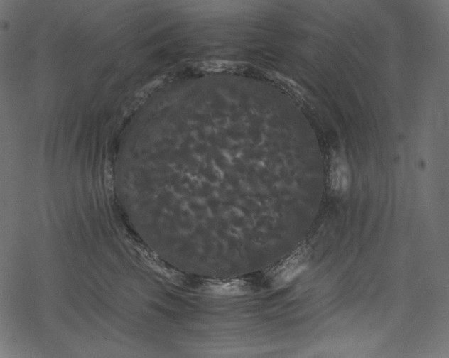 X0000078240569200611031113