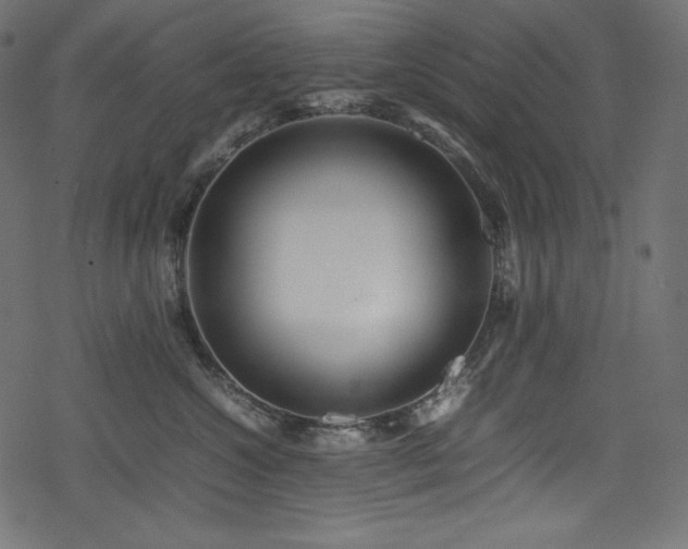 X0000078240572200611031113