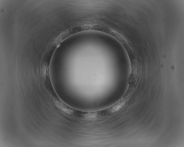 X0000078240574200611031113