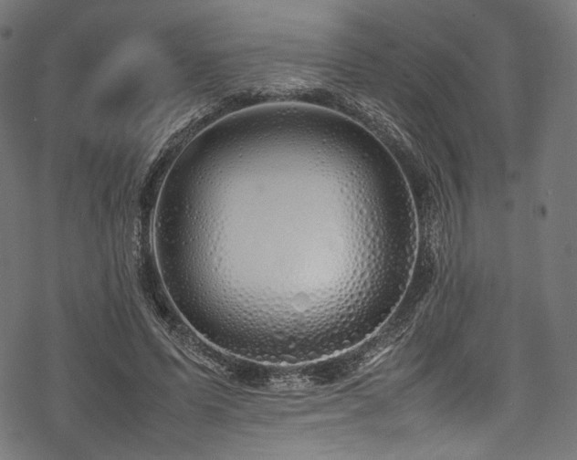 X0000078240591200611031112