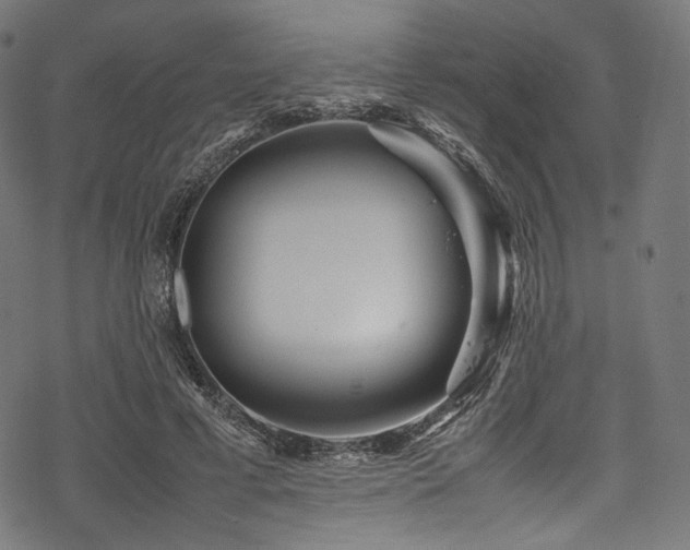 X0000078240593200611031112