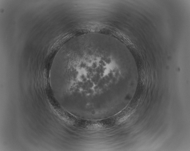 X0000078240594200611031112