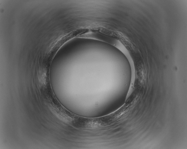 X0000078240596200611031112