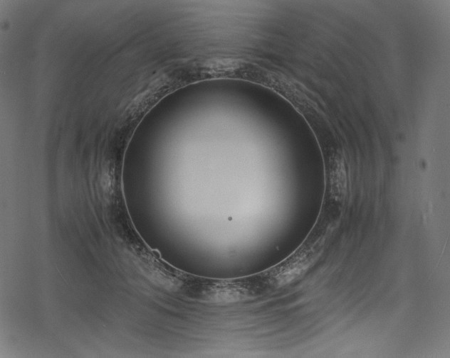 X0000078240608200611031111