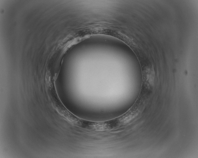X0000078240615200611031111